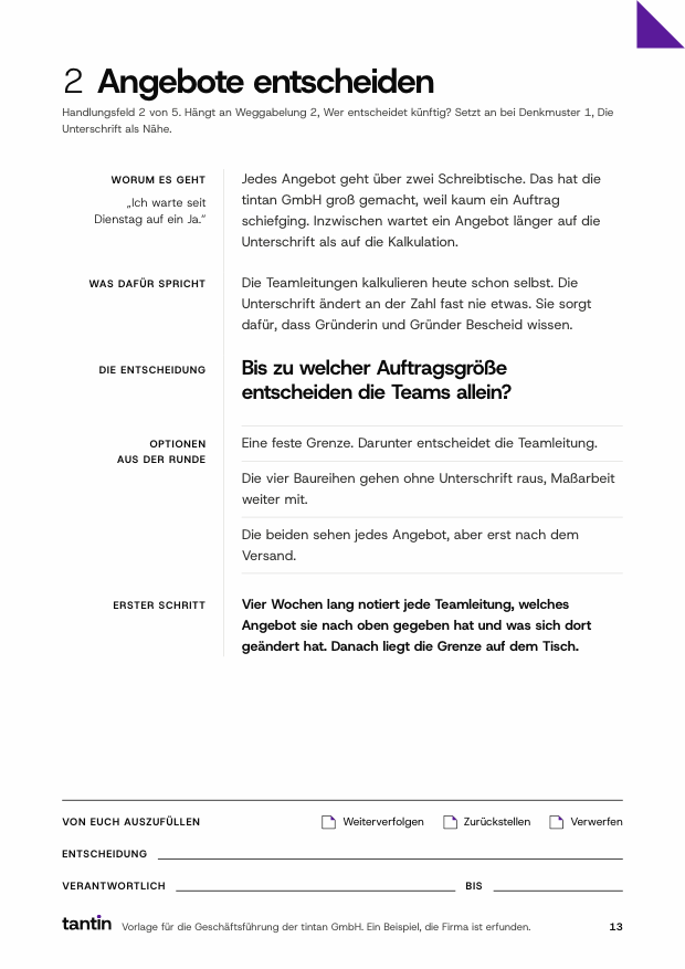 Seite 13 der Vorlage. Ein Handlungsfeld mit Entscheidung, Optionen und erstem Schritt, unten Felder zum Ausfüllen.